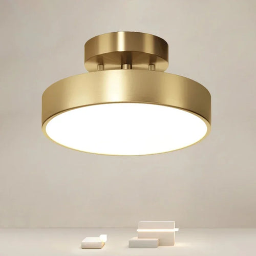 LED Rotatable Ceiling Light