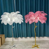 Nordic Ostrich Feather Floor Lamp